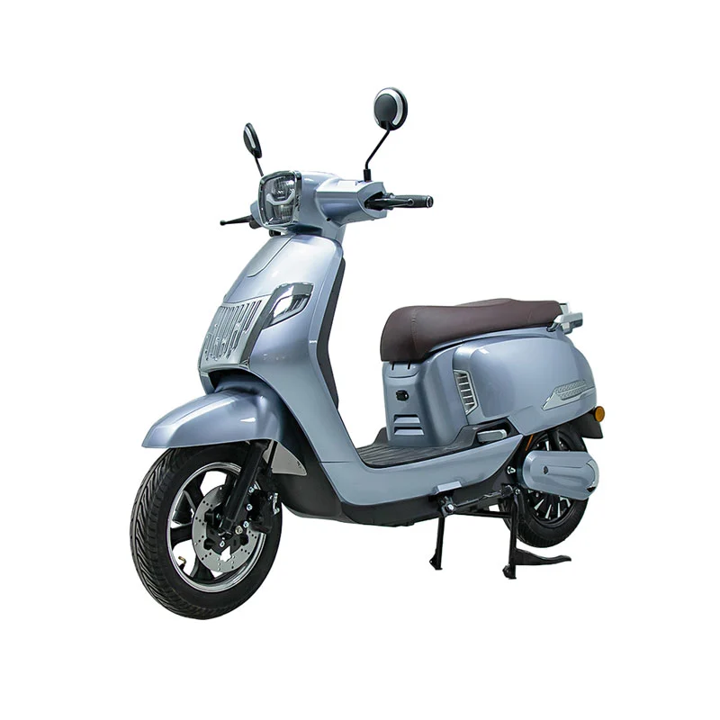 Moto électrique pour adultes 10 pouces 800W moto