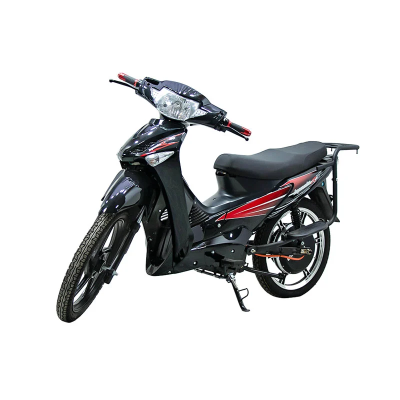 Moto électrique pour hors route avec 17 pouces