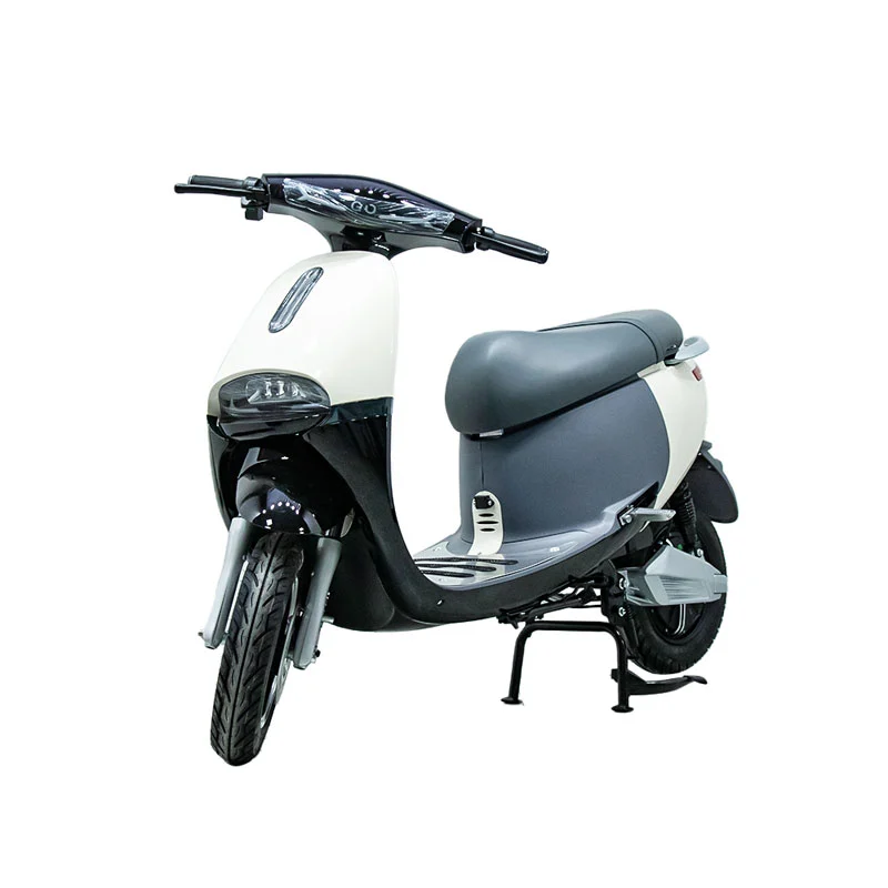 Moto électrique avec moto de 10 pouces 1000W