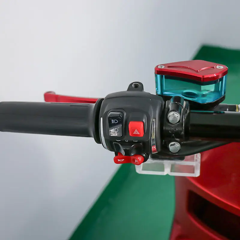Eec Approved Racing Road Electric Scooter